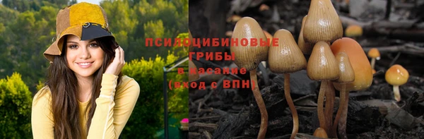 прущие крисы Михайлов