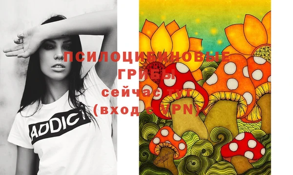 гашик Михайловск