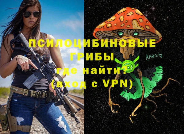 spice Надым