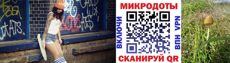 Псилоцибиновые грибы GOLDEN TEACHER Саратов