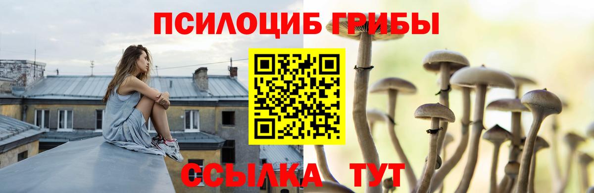 Псилоцибиновые грибы прущие грибы  Вход с VPN  что такое наркотик  Саратов 