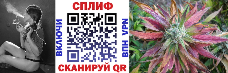 Шишки марихуана семена  наркотики  Саратов 